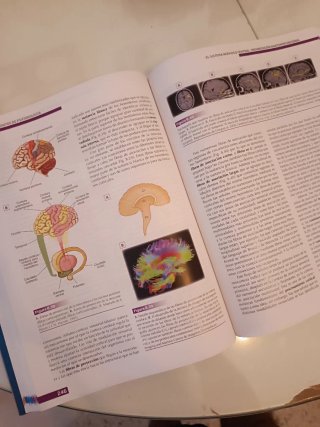 Libro de Fundamentos de psicobiología UNED