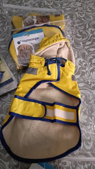 Ropa impermeable para perro