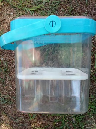 Chicco sterilizzatore microonde