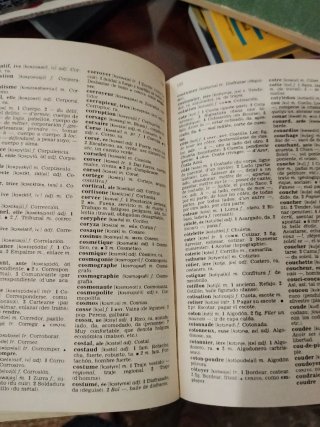 Diccionario francés, español