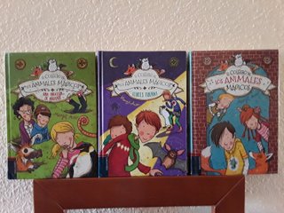 LIBROS DE LEC  DE 4° DE PRIM DEL COLEGIO PABLO VI