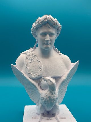 Busto Napoleone 3D 25cm Plastica