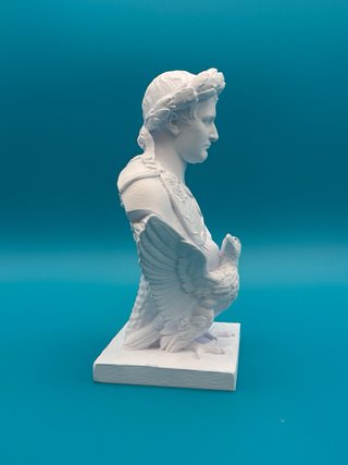 Busto Napoleone 3D 25cm Plastica