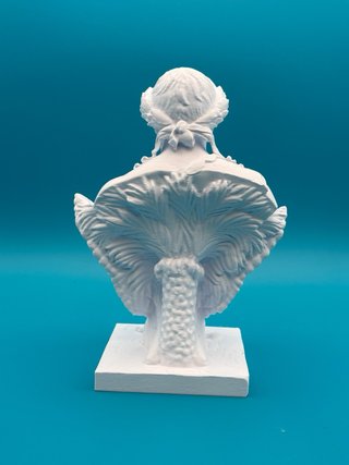 Busto Napoleone 3D 25cm Plastica