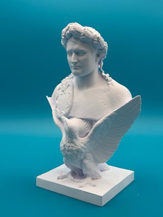 Busto Napoleone 3D 25cm Plastica