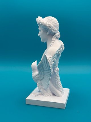 Busto Napoleone 3D 25cm Plastica