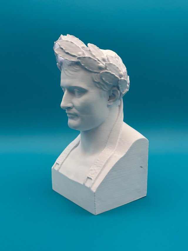 Busto Napoleone 3D - Altezza 20cm