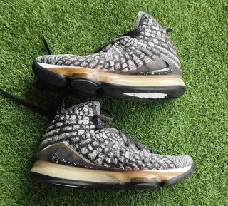 Nike Lebron 17 In the Arena 45.5