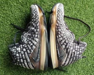 Nike Lebron 17 In the Arena 45.5