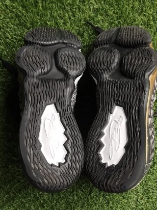 Nike Lebron 17 In the Arena 45.5