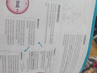 Biología y geología, 4 ESO.