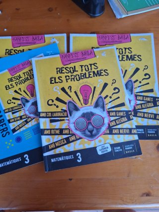 Matemàtiques 3, Segon Cicle Primària, Fanfest