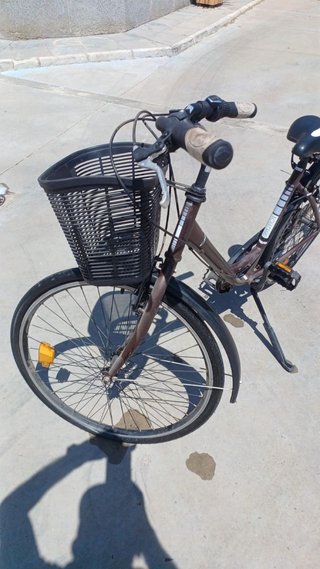 Bicicleta paseo mujer con cesta