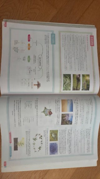 Biología y Geología. 1 Secundaria. Revuela. SM