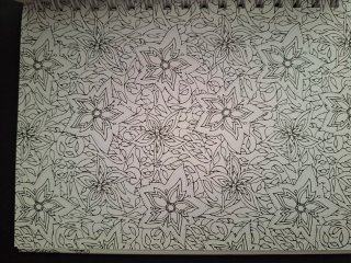 Libro para colorear Flores de ensueño