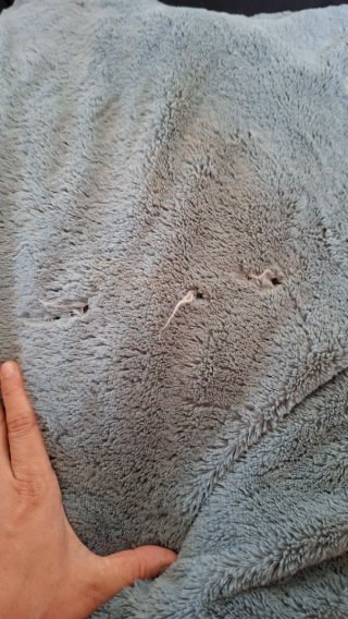 Lettino per cani nero e grigio