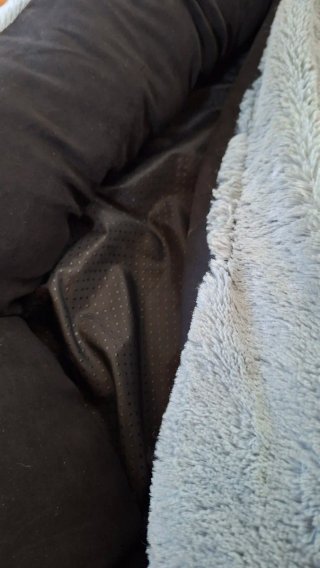 Lettino per cani nero e grigio