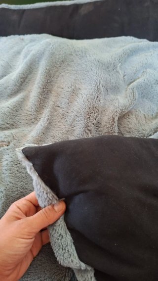 Lettino per cani nero e grigio