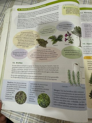 Biología, Geología y Ciencias Ambientales 1 Bac...