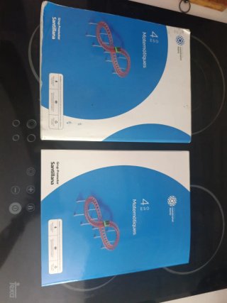 Matemàtiques, 4 ESO, Projecte Construint mons