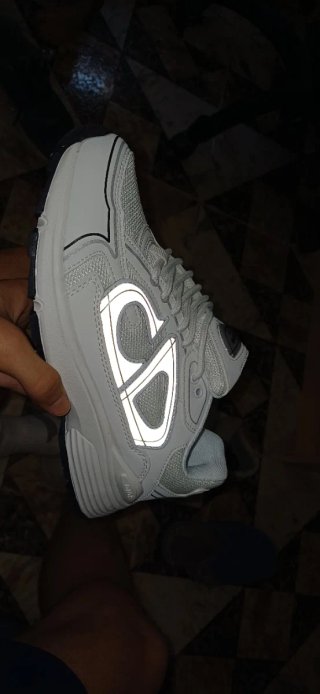 Dior B30 Sneakers Grises y Blancas