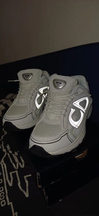 Dior B30 Sneakers Grises y Blancas