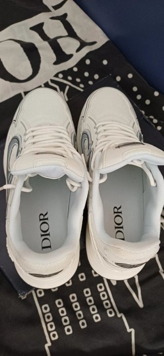 Dior B30 Sneakers Grises y Blancas