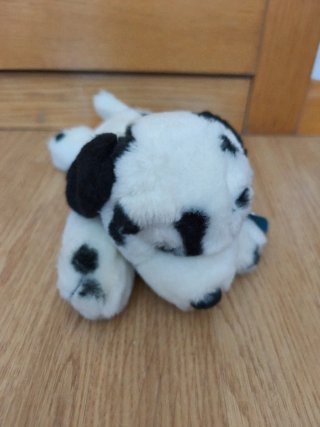 Peluche Dálmata Bichinhos de peluche con etiqueta