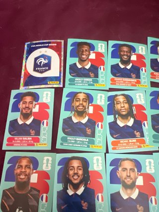 19 Cromos Francia Mundial 2026 Panini Mbappe