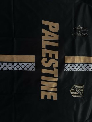 Camiseta Palestina Negra (todas las tallas)