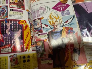 Dragon Ball Daizenshu + carddass Perfect File