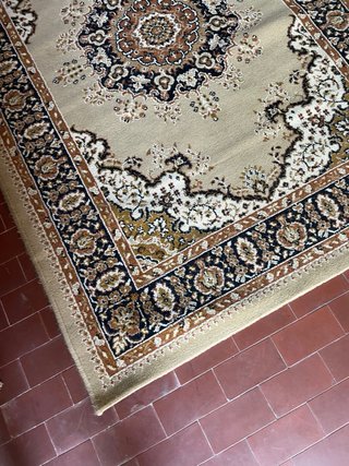 Tappeto lana viscosa beige e marrone169x120