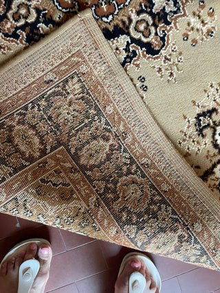 Tappeto lana viscosa beige e marrone169x120