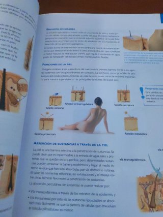 Libro texto grado medio estetica