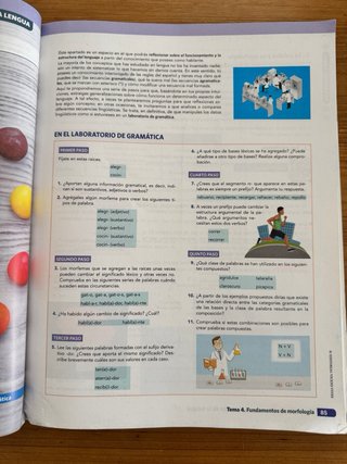 Lengua castellana y literatura 1 Bachillerato