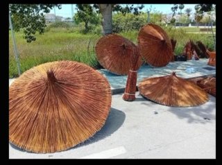 Sombrillas de bambú y mimbre