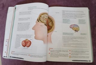 Biología y Geología 3º ESO. Libro del estudiant...