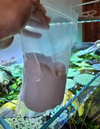 Abono en sales para acuario plantado. Mejor precio