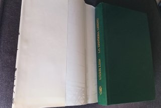 La Danghera Lingvo. Libro en Esperanto