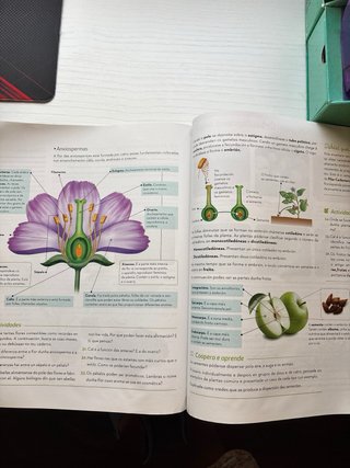 Bioloxía e Xeoloxía 1.º ESO - Galicia
