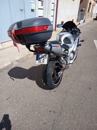 Honda CBR600F Revisada