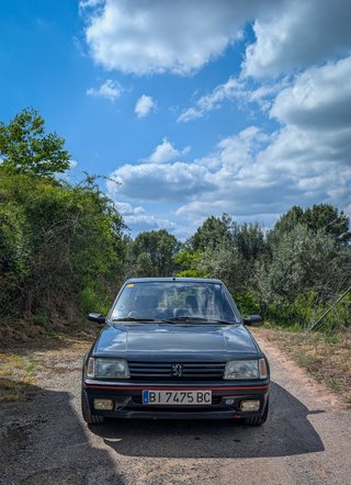 Peugeot 205 GTI