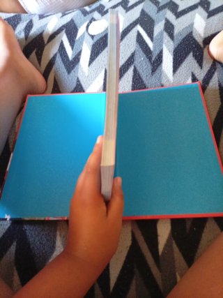 Libro de Arta y max