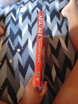 Libro de Arta y max