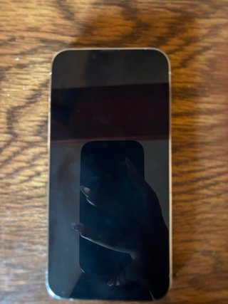 iPhone 13 Pro Oro/Argento