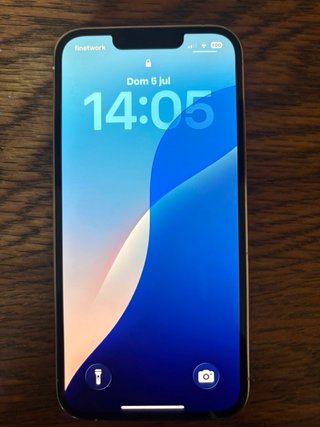 iPhone 13 Pro Oro/Argento