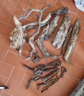 Troncos naturales para acuarios y peceras