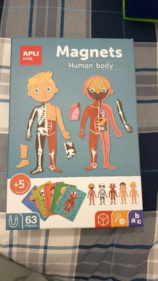Apli Kids Imanes Cuerpo Humano 63 Piezas