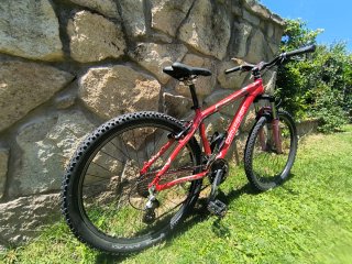 Gary Fisher (Trek) Genesis de 2009 T.15