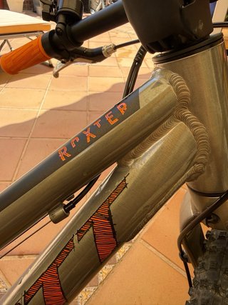 Bicicleta Scott Roxter 20